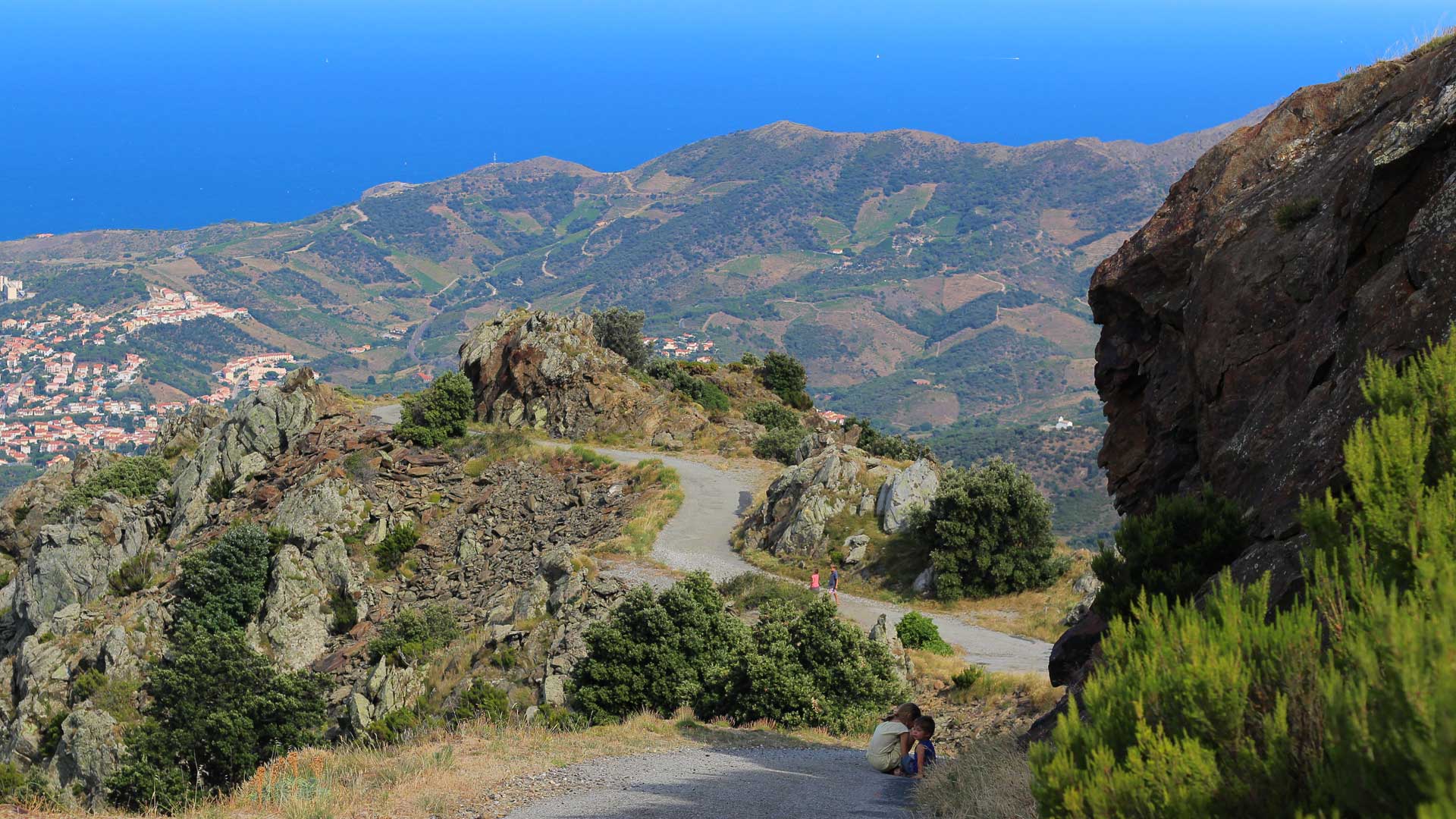 banyuls-vins-parce-freres