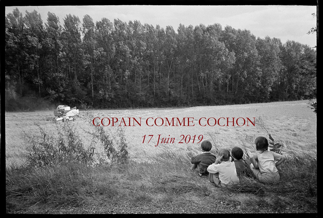 copain-comme-cochon-vins-parce