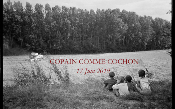 copain-comme-cochon-vins-parce