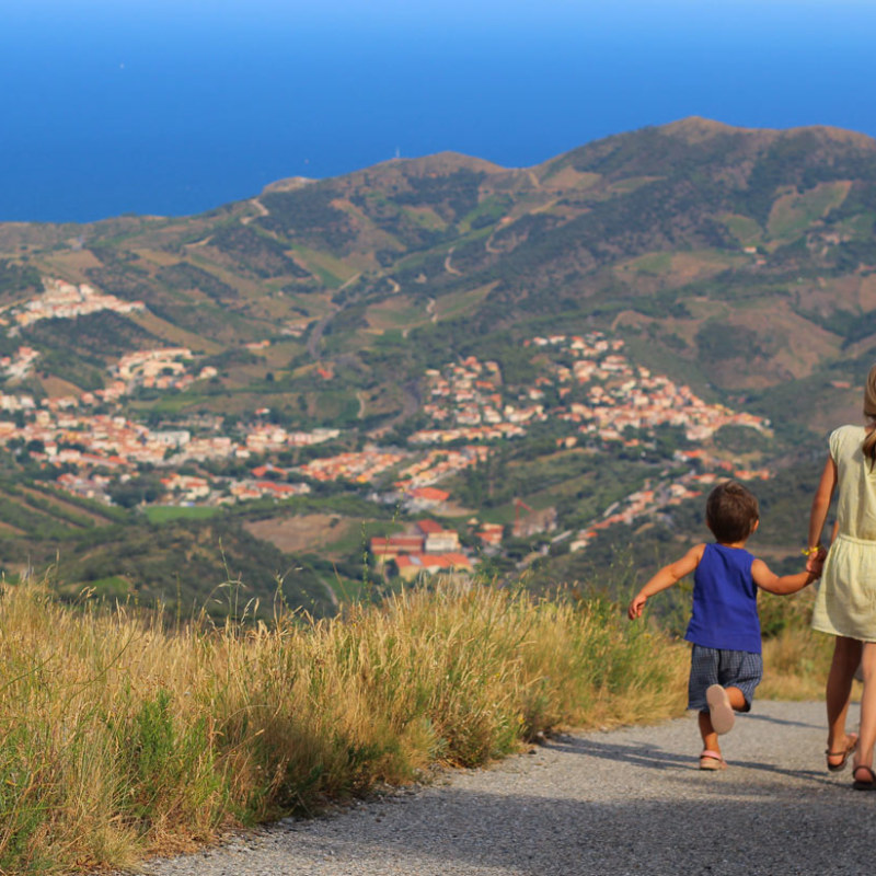 offre-oenotourisme-vins-maison-parce-banyuls-sur-mer